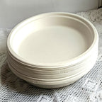 Disposable Round Plane Plates Big