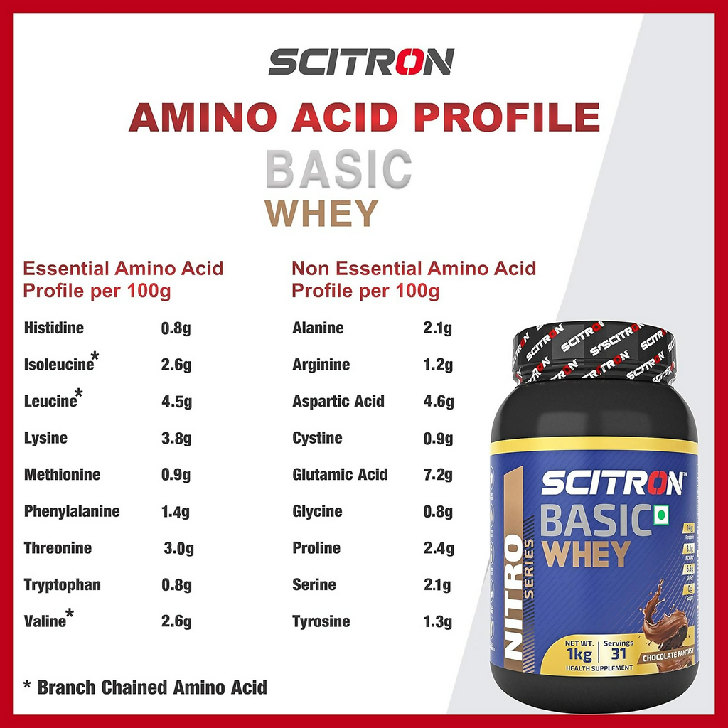 Scitron Nitro Series BASIC Whey Protein Chocolate Fantasy