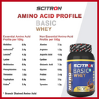 Scitron Nitro Series BASIC Whey Protein Chocolate Fantasy
