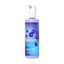 Bath & Body Works Blueberry Extract Body Lotion