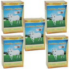 Patanjali Cow's Ghee | Desi Ghee, Aiding Digestion, and Boosting Energy