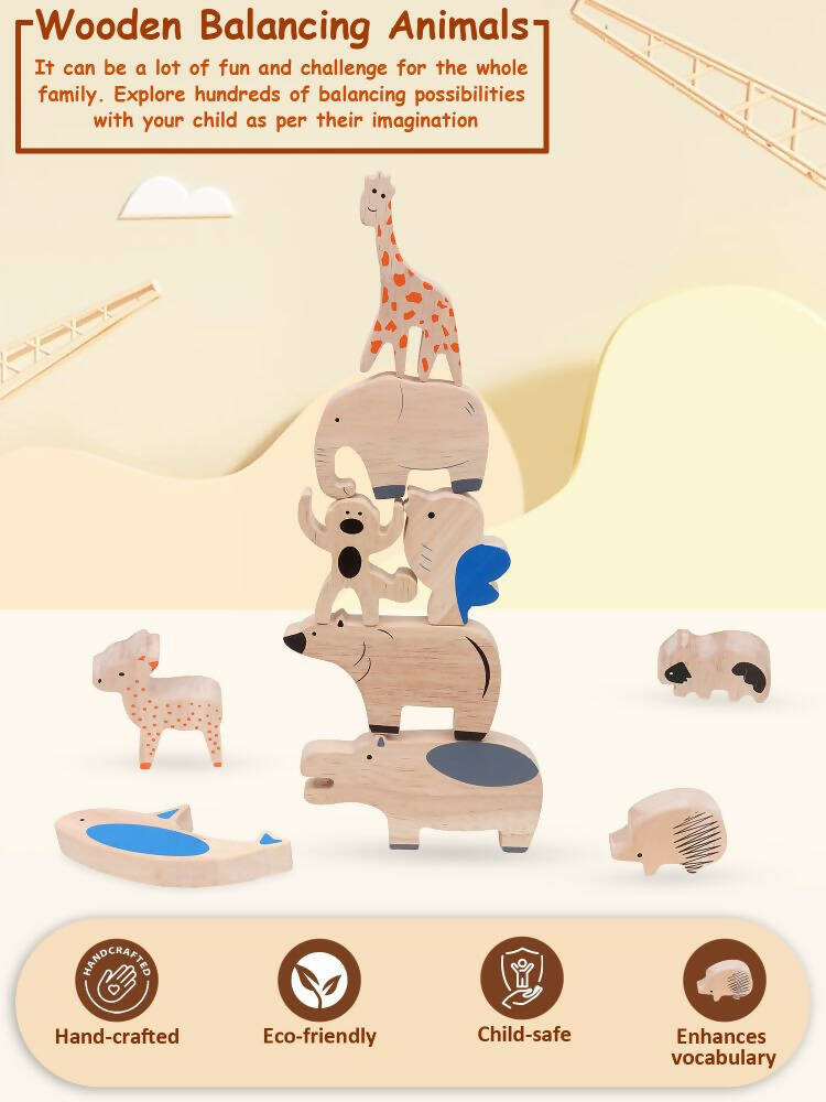 Matoyi Balancing Animals & Rainbow Stacker Combo
