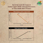 Zandu Copper Water Bottle