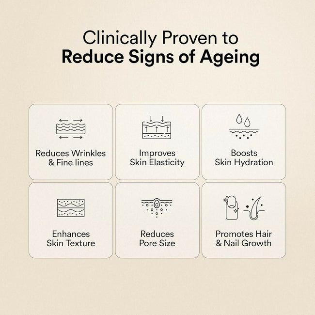 Wellbeing Nutrition Vegan Pro Collagen Powder with Gotu kola, Ginseng, Vitamin C & E - Unflavored - Improves Skin Hydration, Texture Main Image