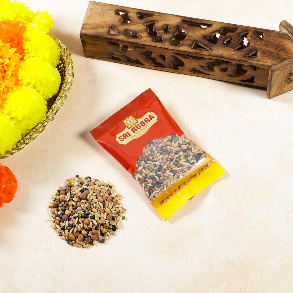 Sri Rudra NAvadhanyalu