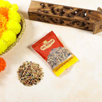 Sri Rudra NAvadhanyalu