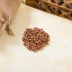 Sri Rudra Shanagalu (SR02854)