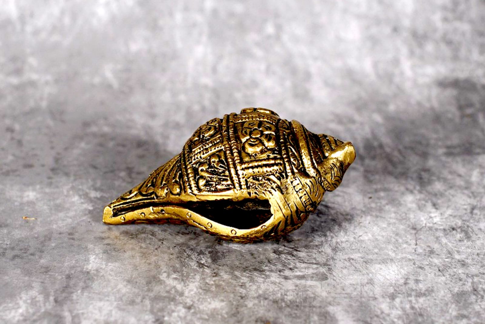 Sri Rudra Shanku Small (2.5X3.6) – SR 02240