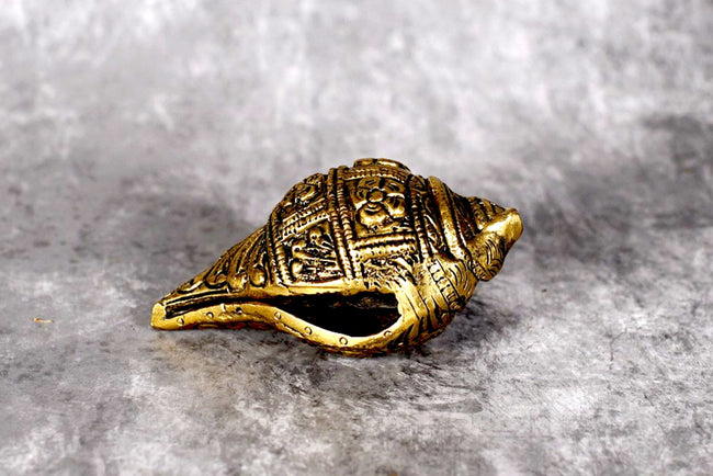 Sri Rudra Shanku Small (2.5X3.6) – SR 02240 Hover Image