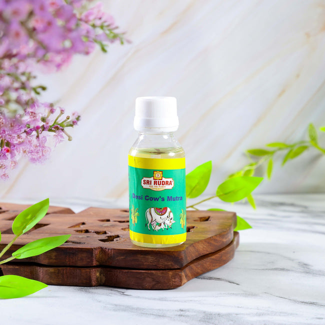 Sri Rudra Panchakvyam (EAN 8906101490370) Hover Image