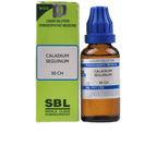 SBL Homeopathy Caladium Seguinum Dilution