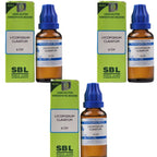SBL Homeopathy Lycopodium Clavatum Dilution