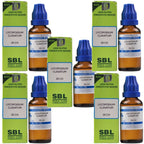 SBL Homeopathy Lycopodium Clavatum Dilution