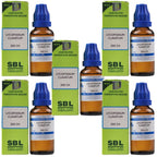 SBL Homeopathy Lycopodium Clavatum Dilution