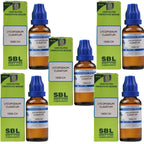 SBL Homeopathy Lycopodium Clavatum Dilution