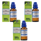 SBL Homeopathy Rhus Toxicodendron Dilution
