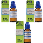 SBL Homeopathy Rhus Toxicodendron Dilution