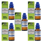 SBL Homeopathy Rhus Toxicodendron Dilution