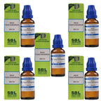 SBL Homeopathy Rhus Toxicodendron Dilution