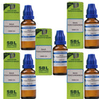 SBL Homeopathy Rhus Toxicodendron Dilution
