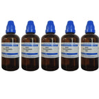 SBL Homeopathy Rhus Toxicodendron Dilution