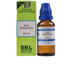 SBL Homeopathy Ruta Graveolens Dilution
