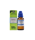 SBL Homeopathy Pulsatilla Nigricans Dilution