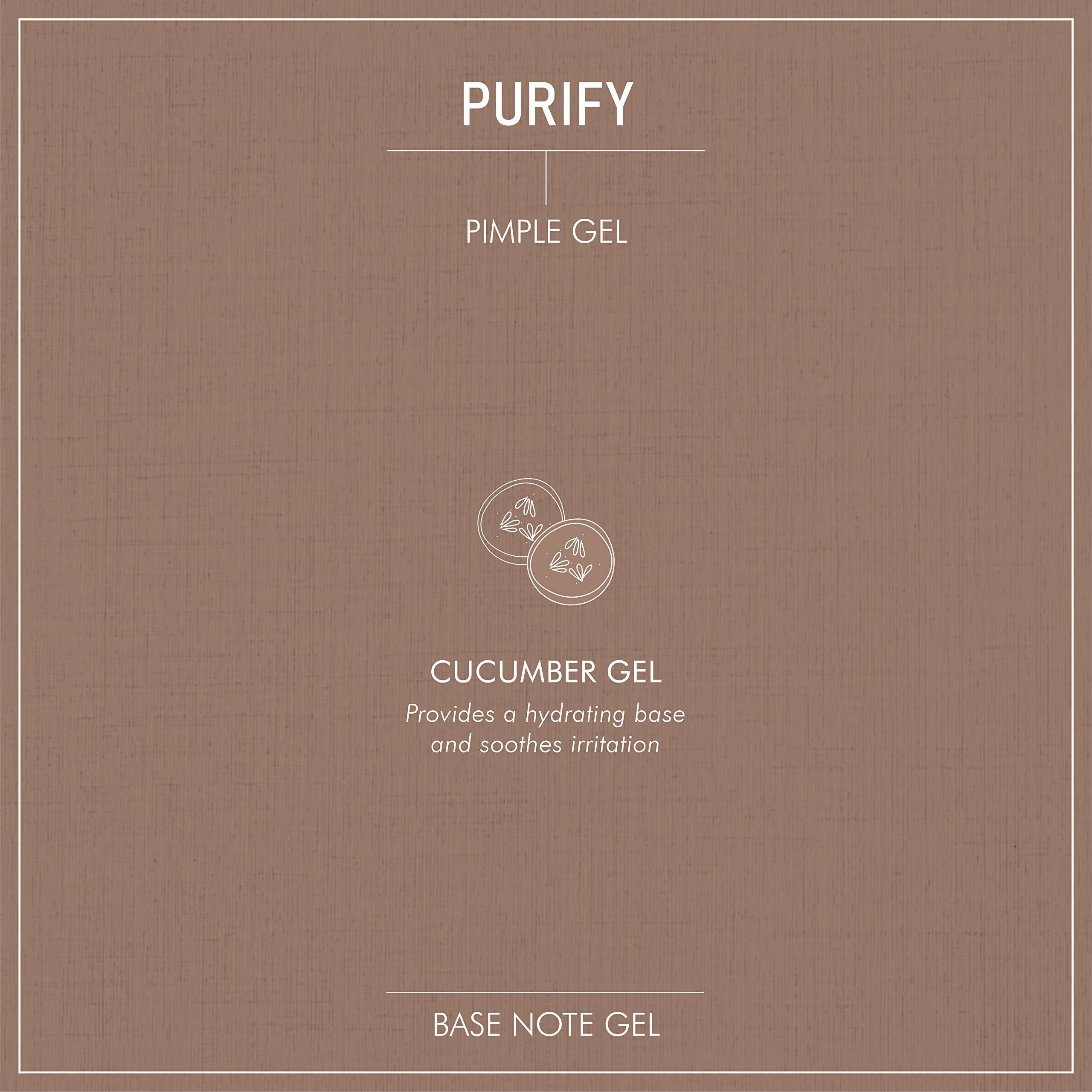 Secret Alchemist Purify Pimple Gel