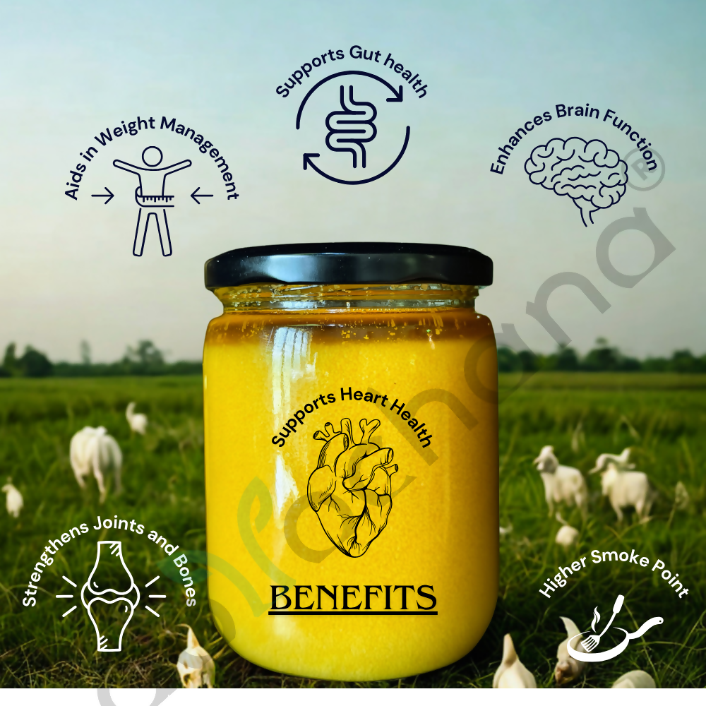 Tatsat Full Moon Day Ghee From Forest Gazing Amruth Mahal A2 Cows | Pure A2 Ghee, Natural & Healthy, Non-GMO
