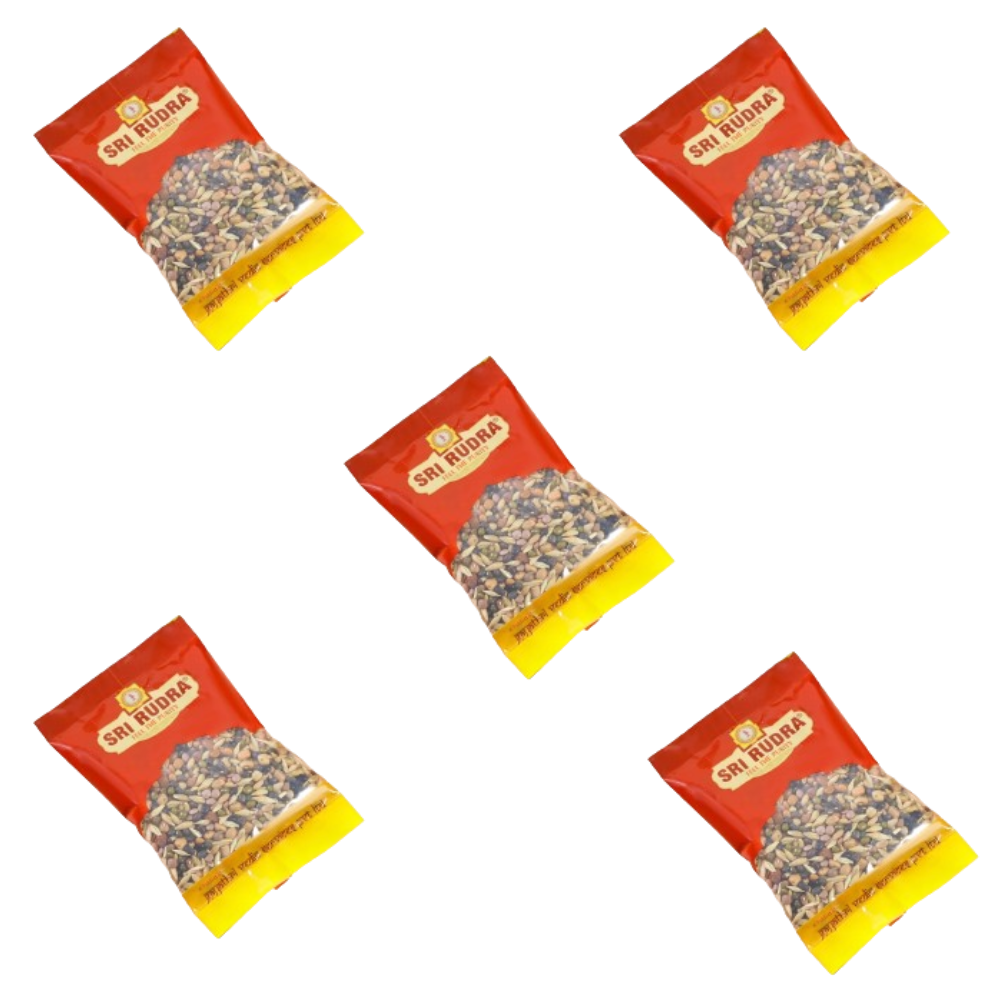 Sri Rudra NAvadhanyalu