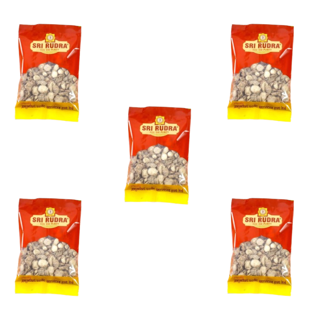 Sri Rudra Kachuralu (SR 01832)