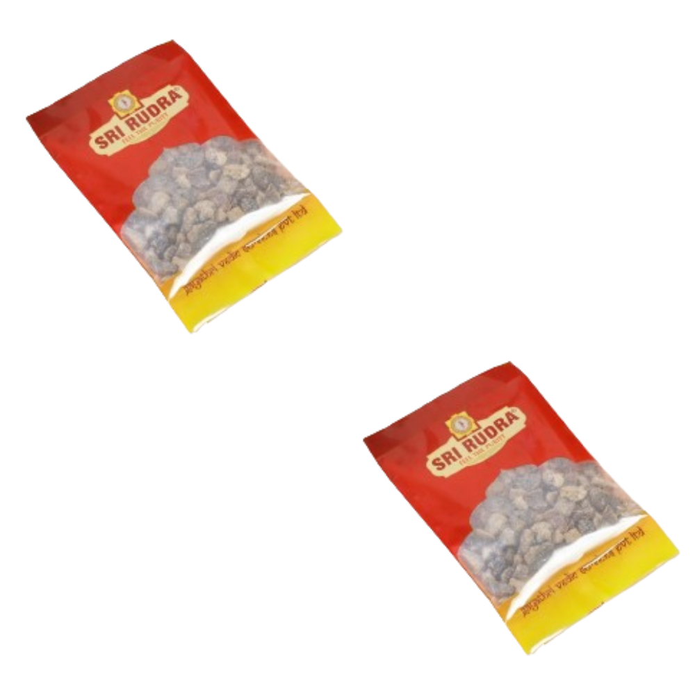 Sri Rudra Guggilam (SR 01163)