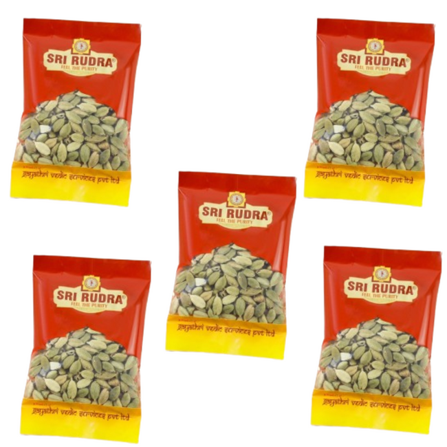 Sri Rudra Elachi Hover Image