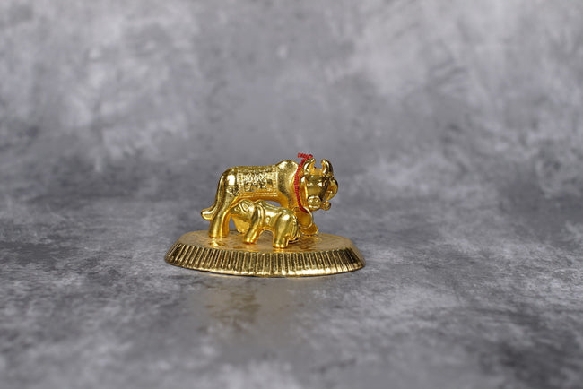 Sri Rudra Cow Main Image