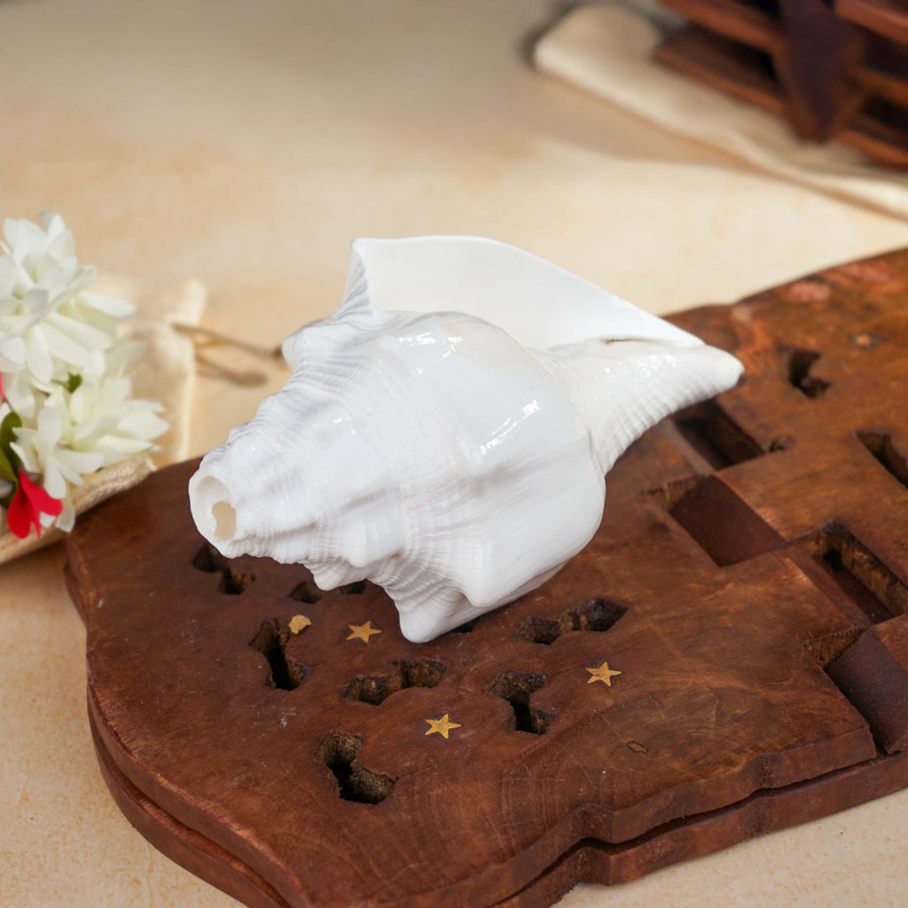 Sri Rudra Blowing Shank Big (SR 03095)