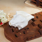 Sri Rudra Blowing Shank Big (SR 03095)