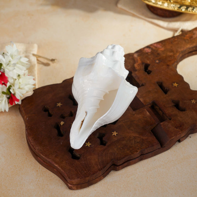 Sri Rudra Blowing Shank Big (SR 03095) Main Image