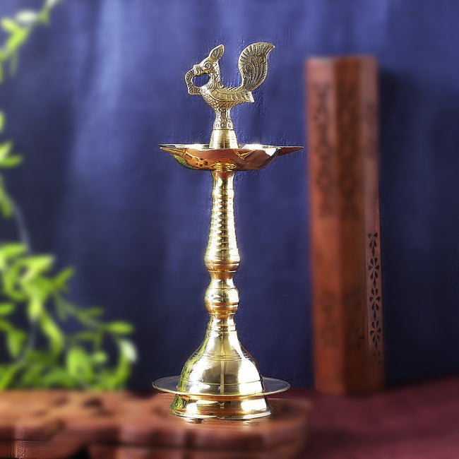 Sri Rudra Keala Fancy Murga (SR 03370 Main Image