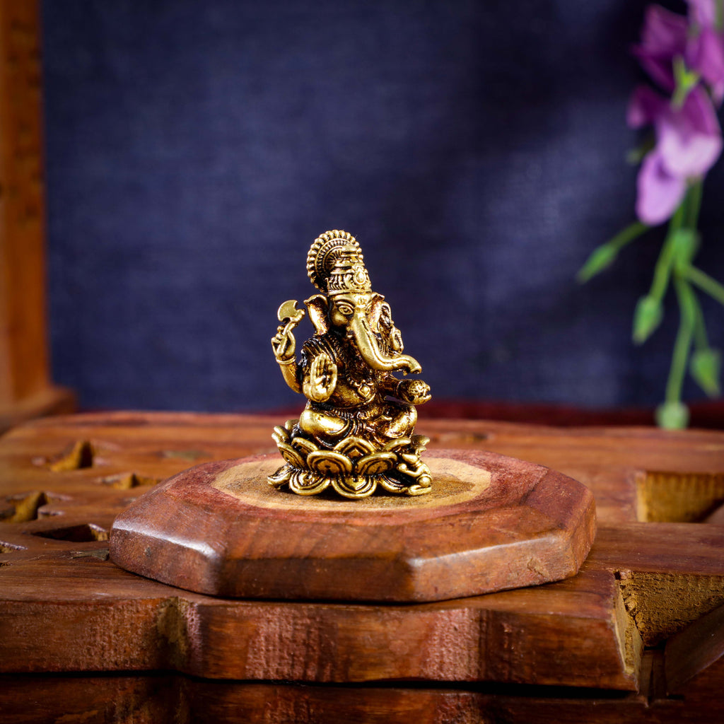 Sri Rudra Lotus L.G Primium (SR 02955)