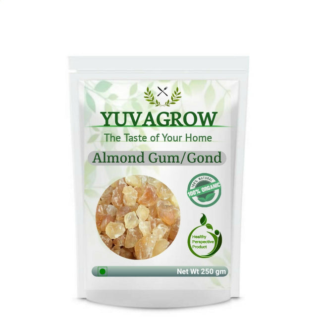 Yuvagrow Almond Gum (Badam Gond) Hover Image