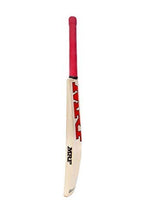 Xtroke Popular Willow Cricket Bat with Cover (Size 6)