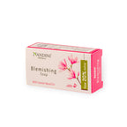 Nandini Herbal Anti-Blemishing Soap