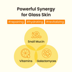 The Skin House Vita Snail First Essense Toner