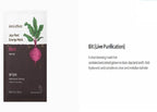 Innisfree Jeju Root Energy Mask - Beet