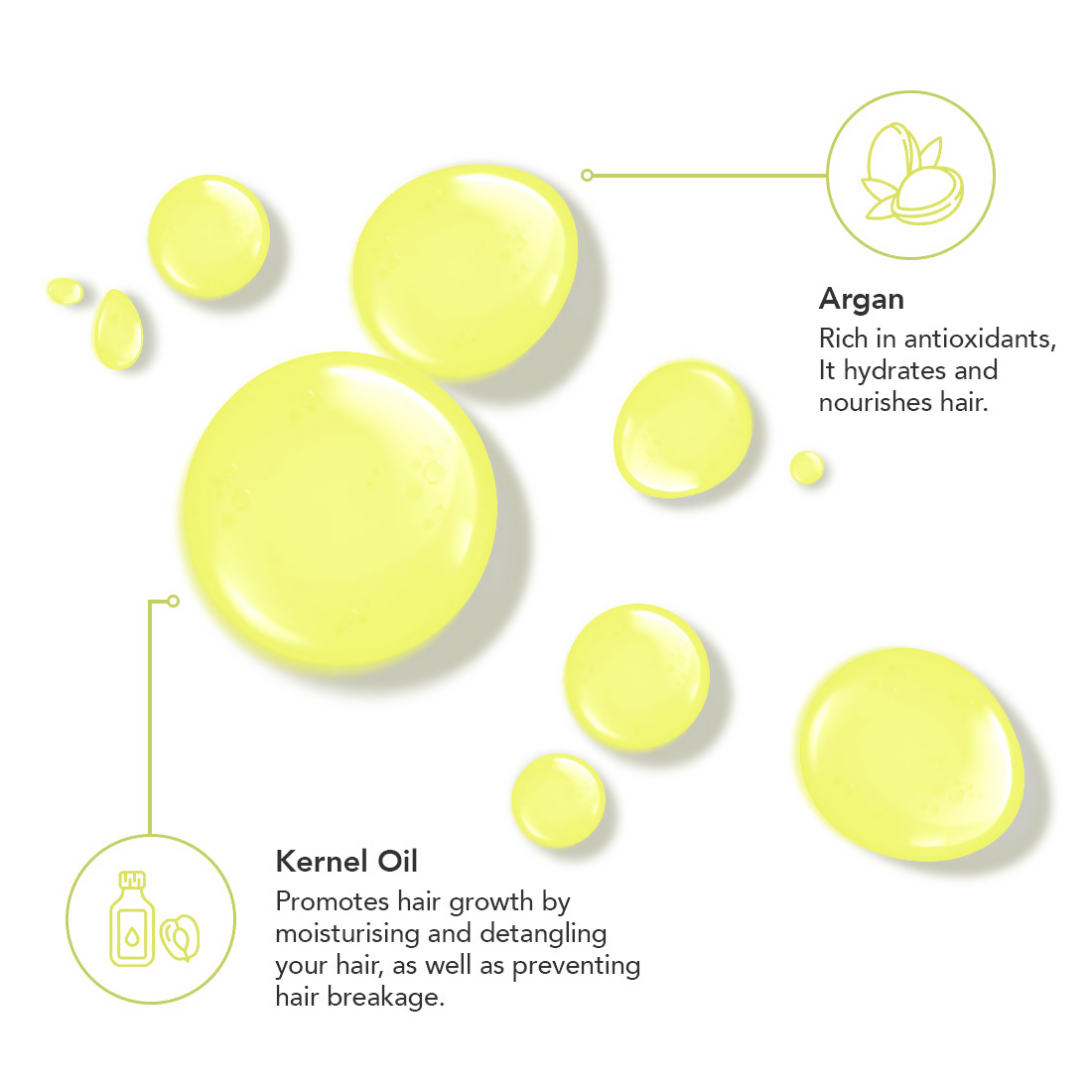 Professional O3+ Oil De Moroccan With Pure Argan Serum For All Hair Types