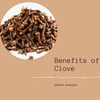 Oilcure Clove (Laung)
