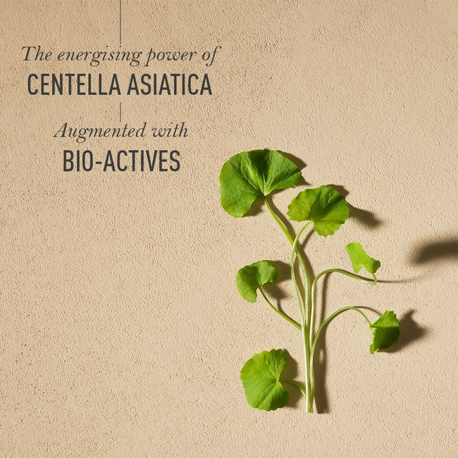 Kama Ayurveda Amarrupa Age - Defying Wrinkle - Correcting Eye Cream Main Image