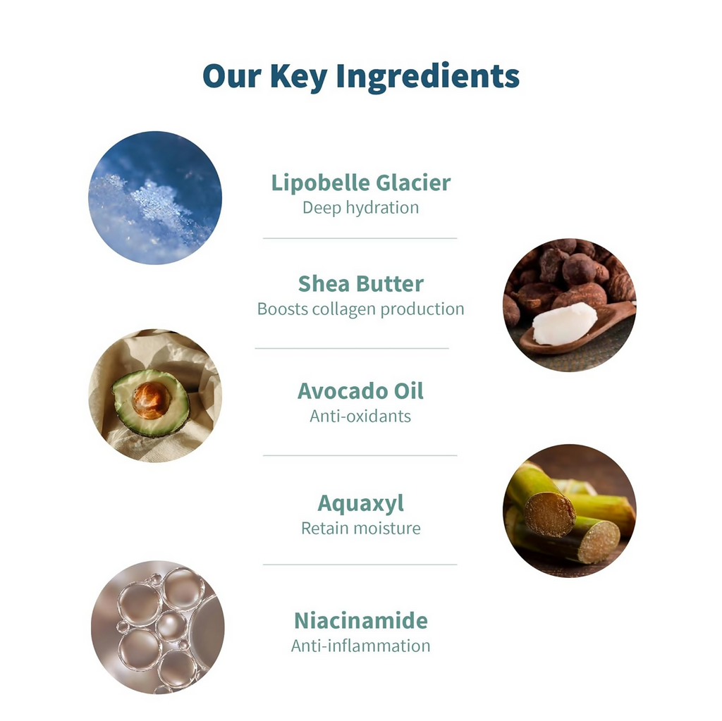 Meola Swiss Glacier Body Lotion With Niacinamide, Almond & Avocado Oil