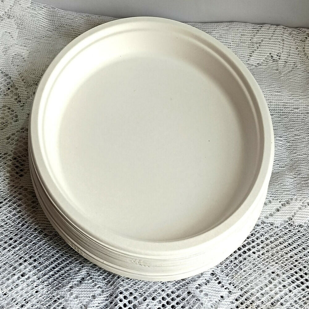 Disposable Round Plane Plates Big