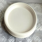 Disposable Round Plane Plates Big